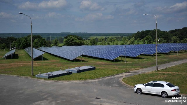 ZWiK stawia na energię ze słońca. Uruchomił farmę fotowoltaiczną [ZDJĘCIA]