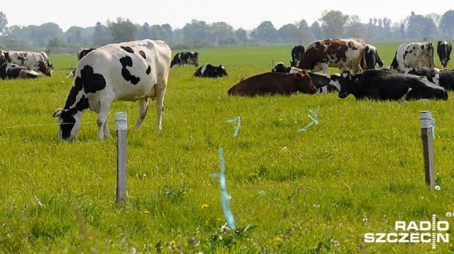 Będzie dodatkowe unijne wsparcie dla młodych rolników - zapowiada minister rolnictwa.