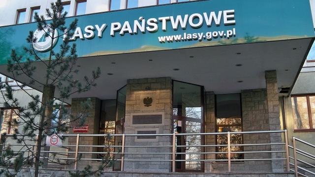 Współpracownicy Lasów Państwowych z Zakładu Usług Leśnych ze Szczecinka protestują. Na drogę krajową numer 11 wyszło kilkaset osób. Domagają się wyższych płac.