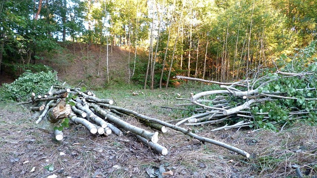 Szczecińskie Towarzystwo Strzeleckie wydzierżawiło od Nadleśnictwa Gryfino działkę w rejonie Puszczy Bukowej na terenie Starego Czarnowa. Jednocześnie sądzi się z miastem Szczecin o strzelnicę w Kijewie.