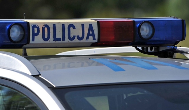 Internauci poruszeni historią skatowanego psa z Goleniowa. Ponad dwa tysiące osób udostępniło na Facebooku apel do świadków pobicia, by zgłaszali się na policję.