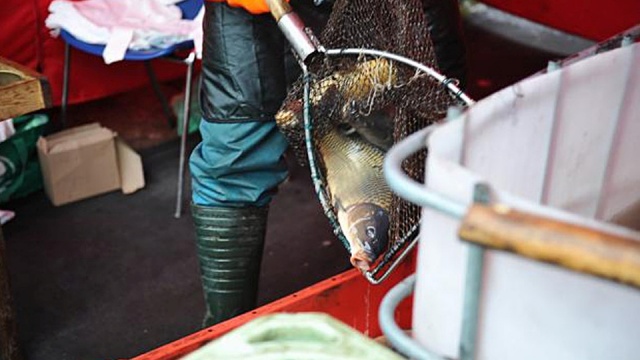 Duński potentat rybny przenosi produkcję z Chin do Polski - informuje Puls Biznesu.