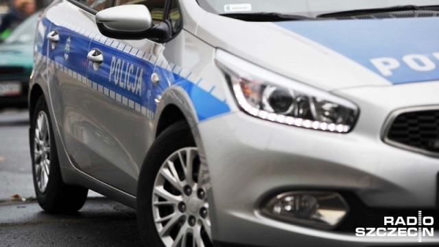 Na drodze krajowej nr 6 samochód osobowy w rejonie Goleniowa uderzył w jelenia. Na stojące auto najechał kolejny samochód i wepchnął je do rowu. Jedna osoba została lekko ranna i trafiła do szpitala.