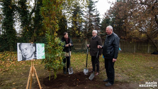 Reżyser, lekarz i nauczyciel medyków mają swoje drzewka pamięci [WIDEO, ZDJĘCIA]