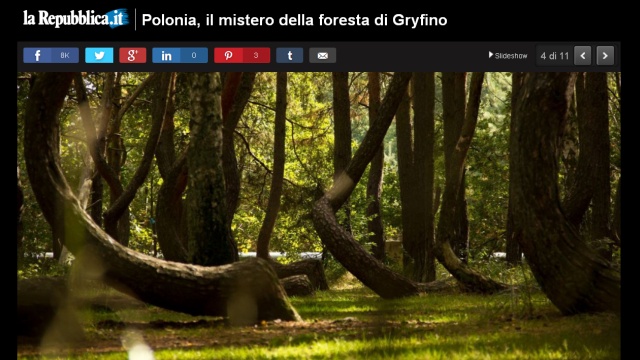 Wygląda jak miejsce z bajki albo stworzone przez mistrzów efektów specjalnych - tak o Krzywym Lesie obok Gryfina pisze portal jednej z dwóch największych włoskich gazet - La Repubblici.
