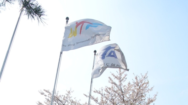 Światowa Federacja Taekwondo ma problemy ze swoją nazwą.
