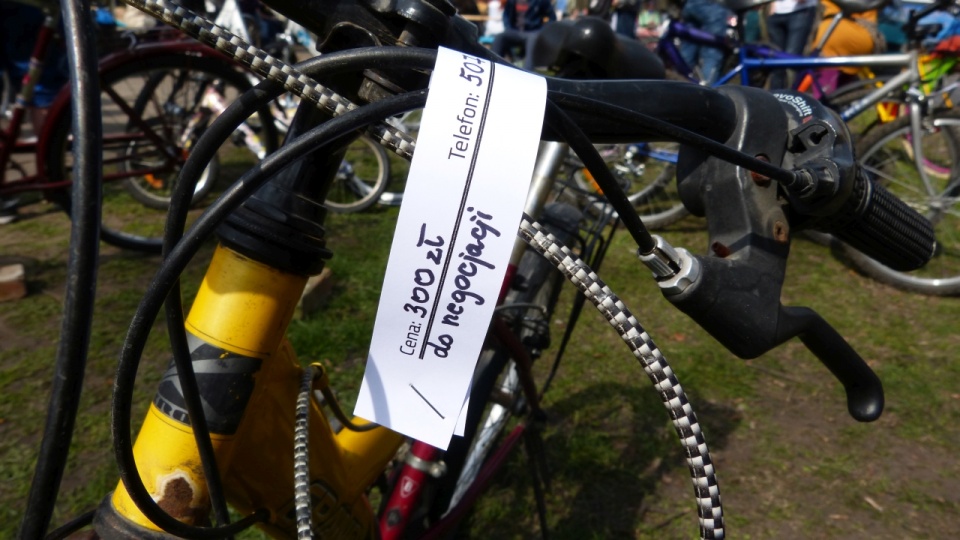 Szczeciński targ rowerowy. Fot. Tobiasz Madejski [Radio Szczecin]