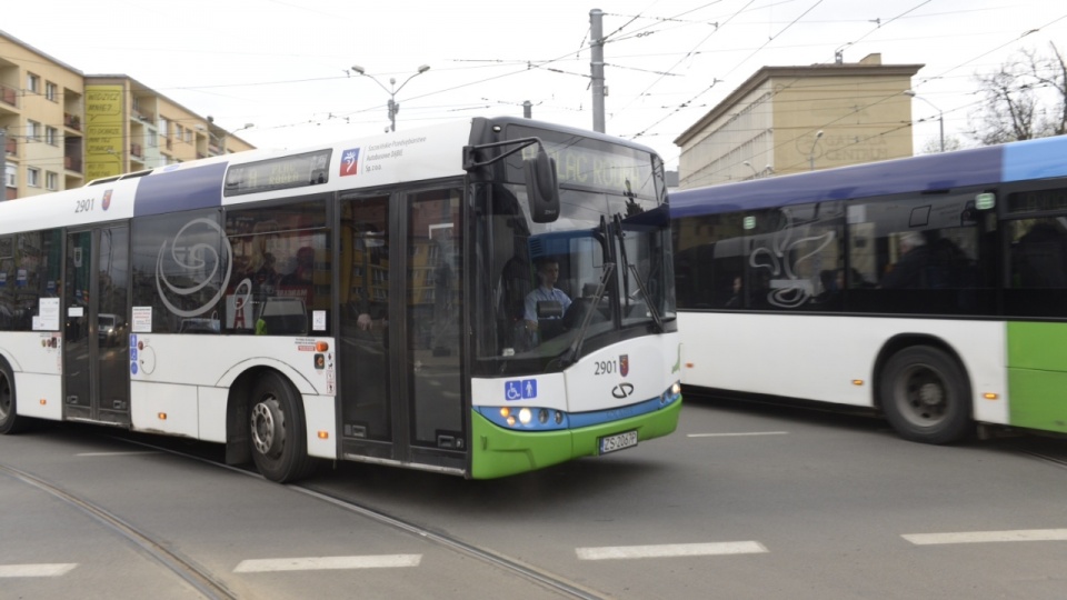 Rozpoczyna się remont pętli autobusowej na Wyspie Puckiej. Fot. Piotr Sawiński [Radio Szczecin]