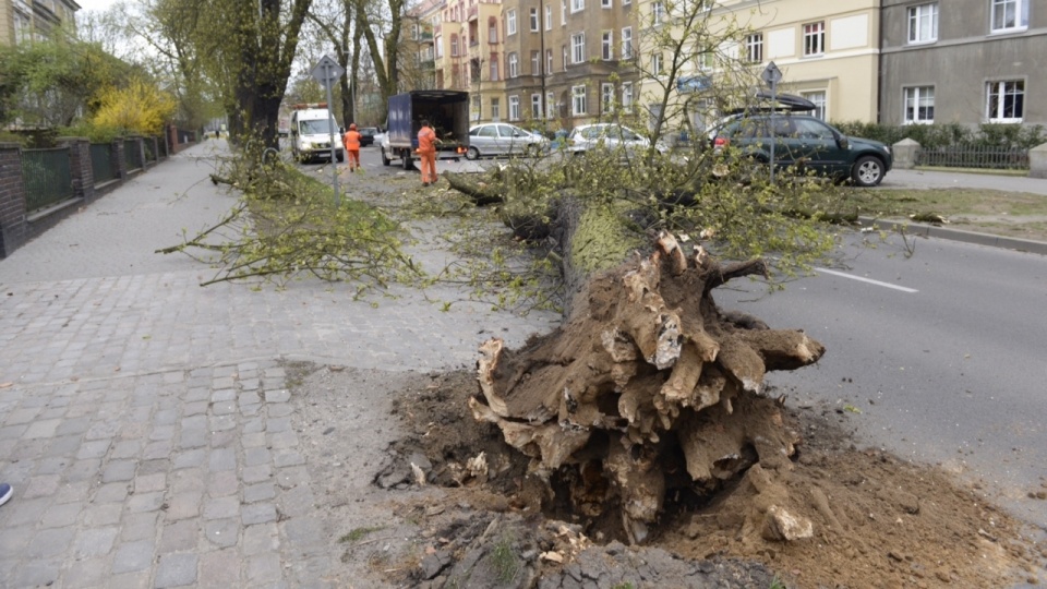 Mickiewicza jest całkowicie zablokowana. Fot. Piotr Sawiński [Radio Szczecin]