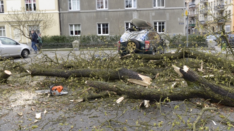 Na miejsce jedzie już straż pożarna. Fot. Piotr Sawiński [Radio Szczecin]