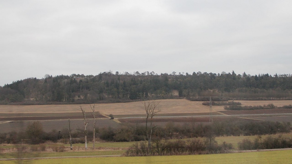 Jak wylicza Główny Urząd Statystyczny, wartość hektara w ciągu ostatniej dekady wzrosła od 300 do 600 procent. Fot. Piotr Kołodziejski [Radio Szczecin]