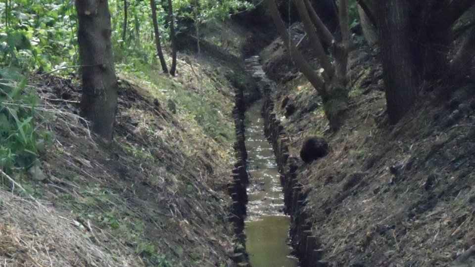 Strumień Warszowiec na szczecińskim Warszewie oczyszczają pracownicy Zakładu Usług Komunalnych. Fot. Mat. Zakładu Usług Komunalnych.