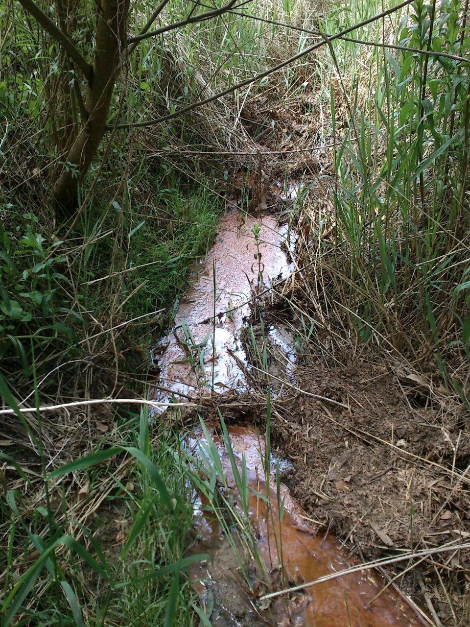 Strumień Warszowiec na szczecińskim Warszewie oczyszczają pracownicy Zakładu Usług Komunalnych. Fot. Mat. Zakładu Usług Komunalnych.