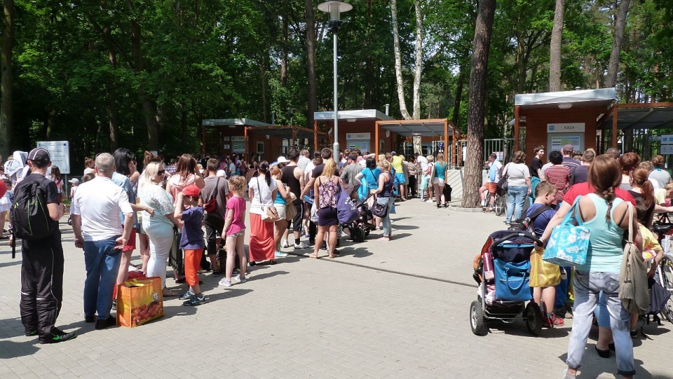 Kolejki przy wejściu na szczecińską Arkonkę. Trzeba czekać nawet kilkadziesiąt minut. Fot. Wojciech Zagaj [Radio Szczecin]