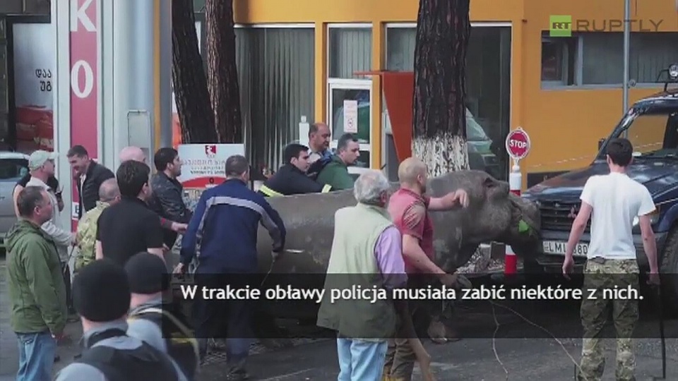 Rośnie bilans po powodzi w Gruzji - 15 osób nie żyje. Z powodu zniszczeń od ulewnego deszczu kilkadziesiąt osób straciło dach nad głową. Fot. RUPTLY/x-news
