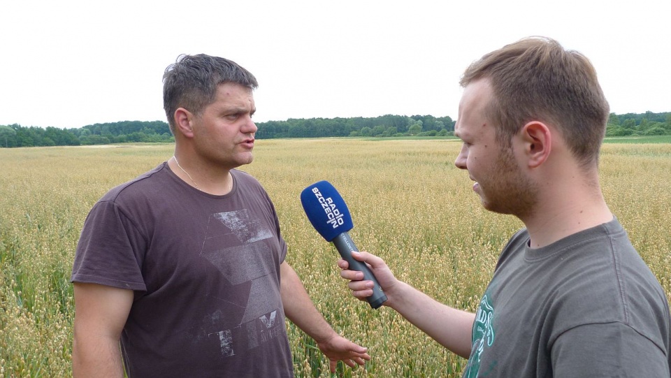 Tegoroczne plony będą nawet o jedną trzecią niższe od ubiegłorocznych - alarmują zachodniopomorscy rolnicy. Fot. Bartosz Bis