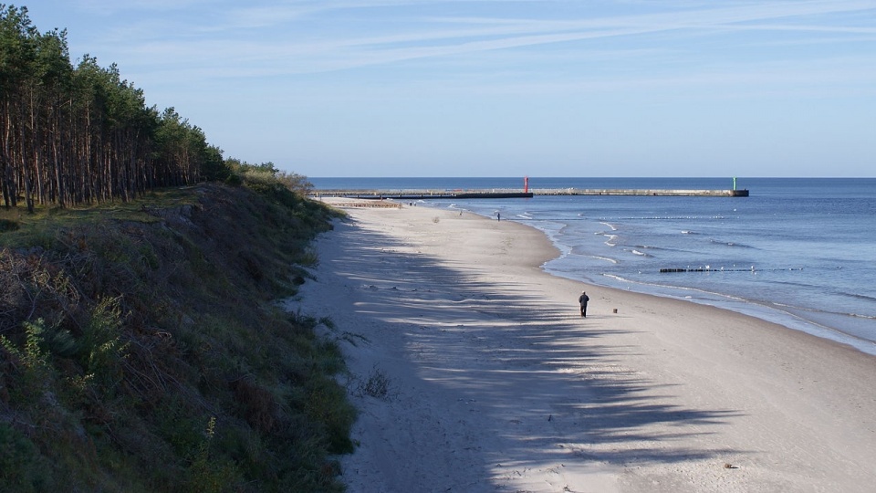 Fragment wschodniej plaży i wydma nadmorska. Fot. www.wikipedia.org / JDavid