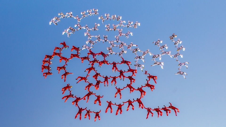 Bicie spadochronowego rekordu. Fot. Skydive.pl
