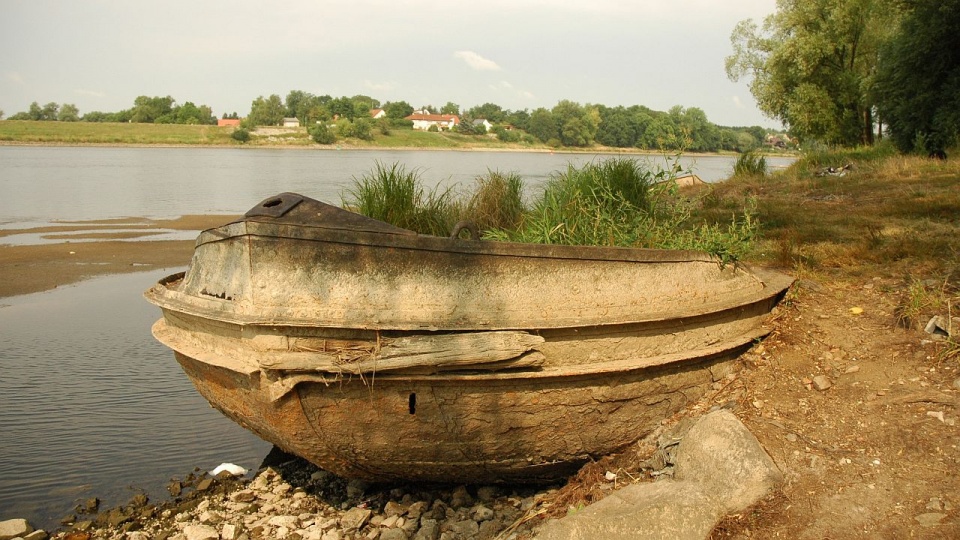 Niski poziom Odry pomiędzy Osinowem Dolnym a Starym Kostrzynkiem ujawnił ukryte przez lata pod wodą fragmenty mostu i wrak barki. Fot. Paweł Pawłowski, dyrektor Cedyńskiego Ośrodka Kultury i Sportu