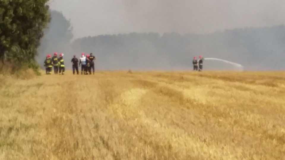Pożar ścierniska koło Dobrej Nowogardzkiej pod Łobzem. Fot. Gazeta Łobeska