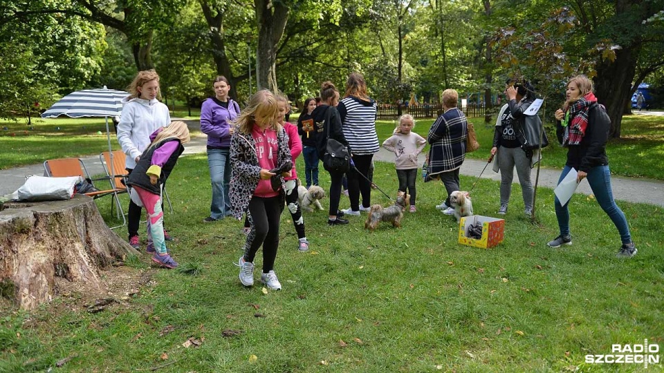 Gryfiński Piknik z Psem odbył się po raz trzeci. Fot. Łukasz Szełemej [Radio Szczecin]