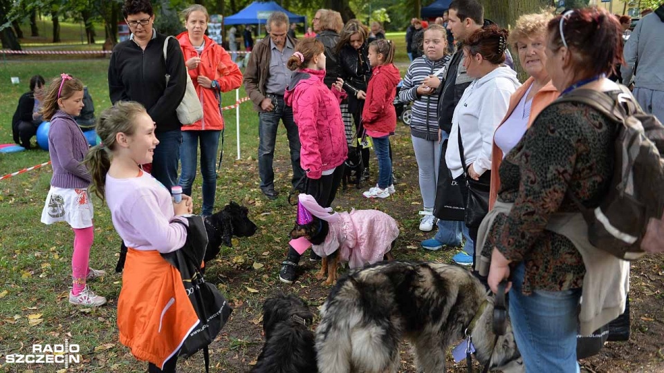 Gryfiński Piknik z Psem odbył się po raz trzeci. Fot. Łukasz Szełemej [Radio Szczecin]