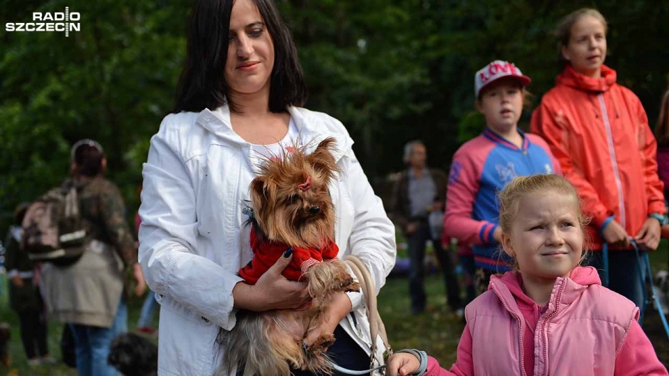 Gryfiński Piknik z Psem odbył się po raz trzeci. Fot. Łukasz Szełemej [Radio Szczecin]