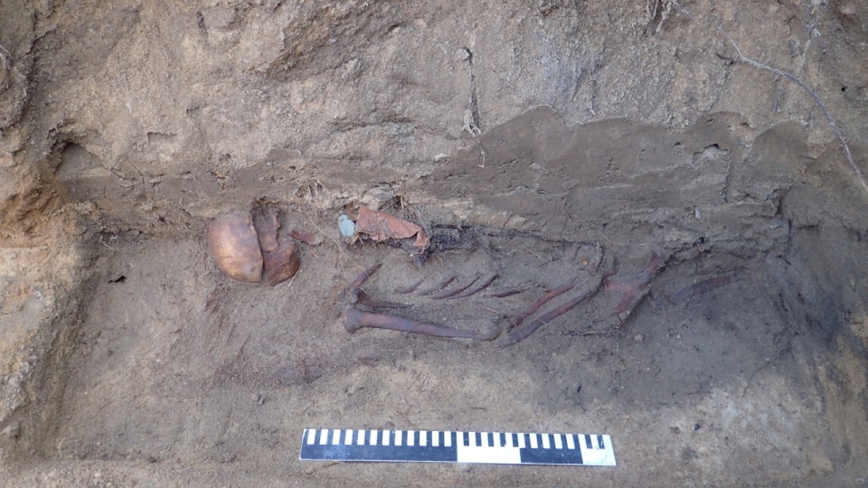 Podczas prac archeologicznych odnaleziono szczątki czterech polskich żołnierzy. Fot. Urząd Miejski w Złocieńcu