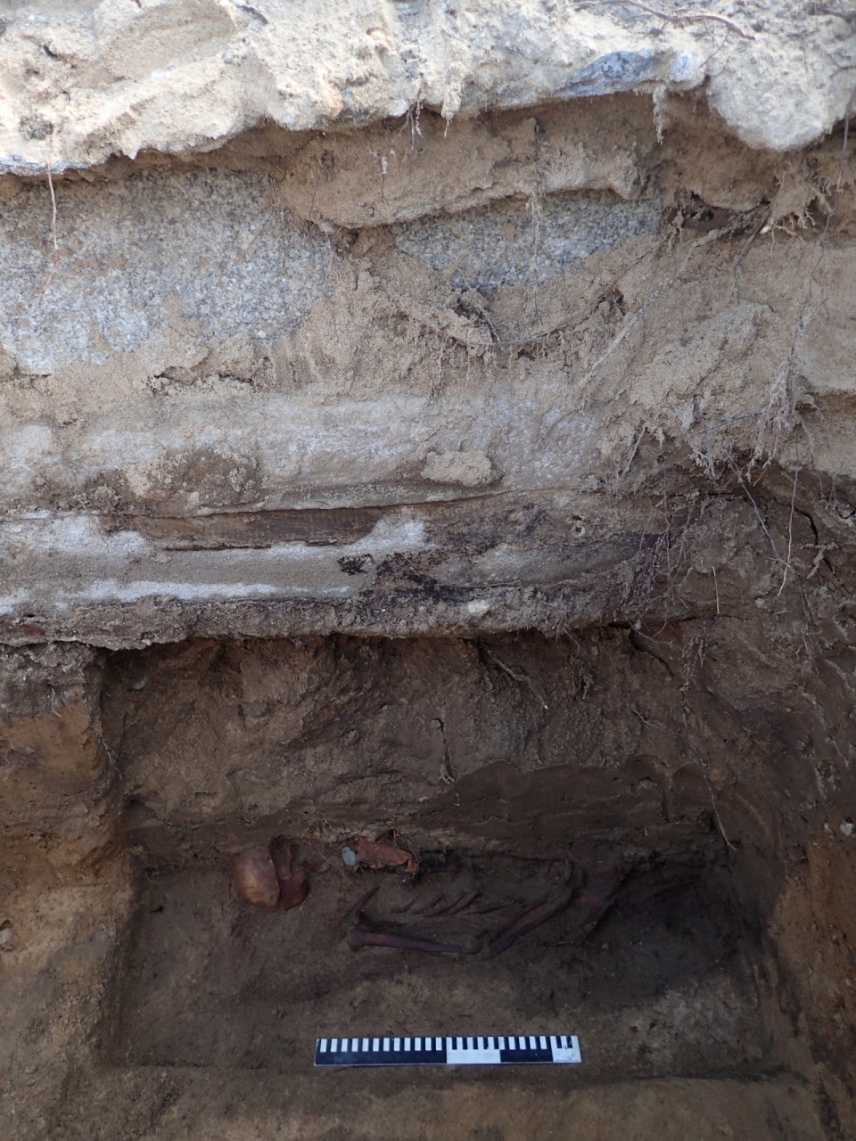 Podczas prac archeologicznych odnaleziono szczątki czterech polskich żołnierzy. Fot. Urząd Miejski w Złocieńcu