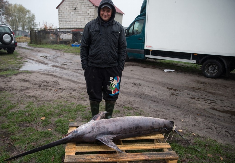 Rybę giganta złowił w Bałtyku rybak z Karsiboru. Fot. Krzysztof Chomicz/iswinoujscie.pl