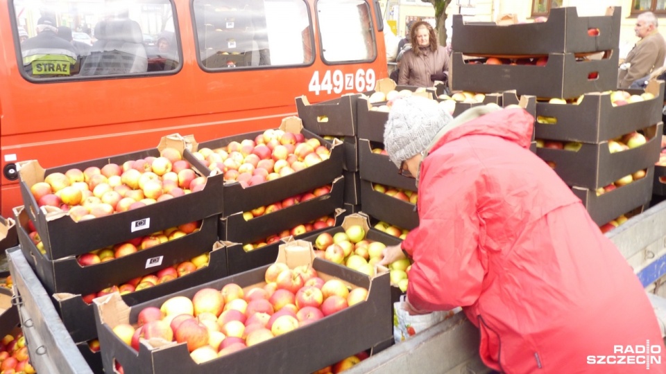 Ponad trzy tony darmowych jabłek trafiły w czwartek do mieszkańców Trzebiatowa. Fot. Dawid Siwek [Radio Szczecin]
