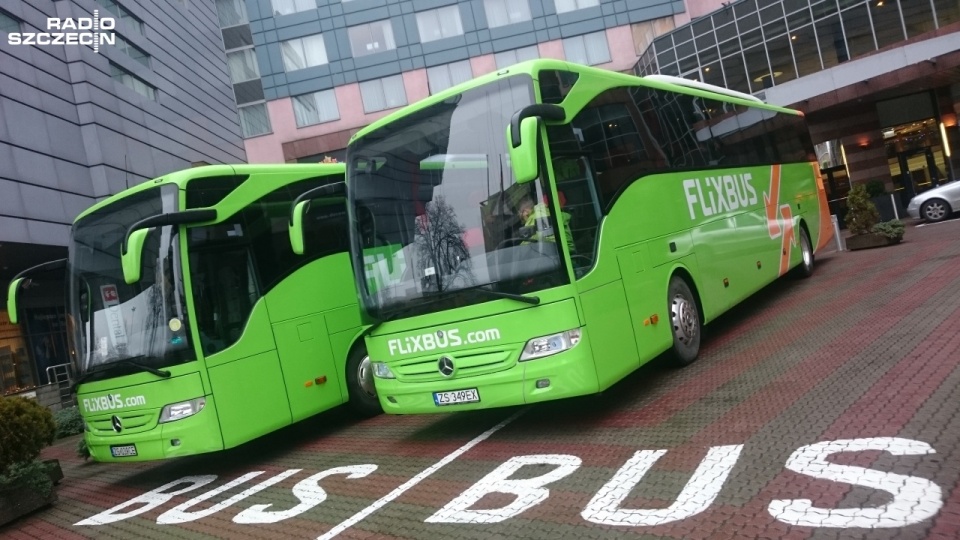 350 nowych połączeń autobusowych ze Szczecina oferuje niemiecki przewoźnik FlixBus, który właśnie wszedł do Polski. Fot. Mateusz Madejski [Radio Szczecin]