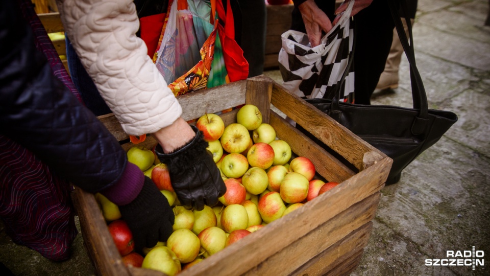 19 ton jabłek dla mieszkańców Polic. Owoce rozdają pracownicy Powiatowego Centrum Pomocy Rodzinie. Fot. Konrad Nowak [Radio Szczecin]