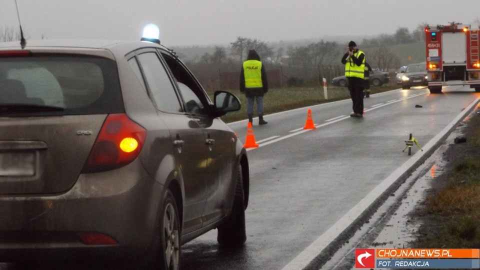 Śmiertelne potrącenie na drodze nr 31 między Chojną a Godkowem. Fot. www.chojnanews.pl