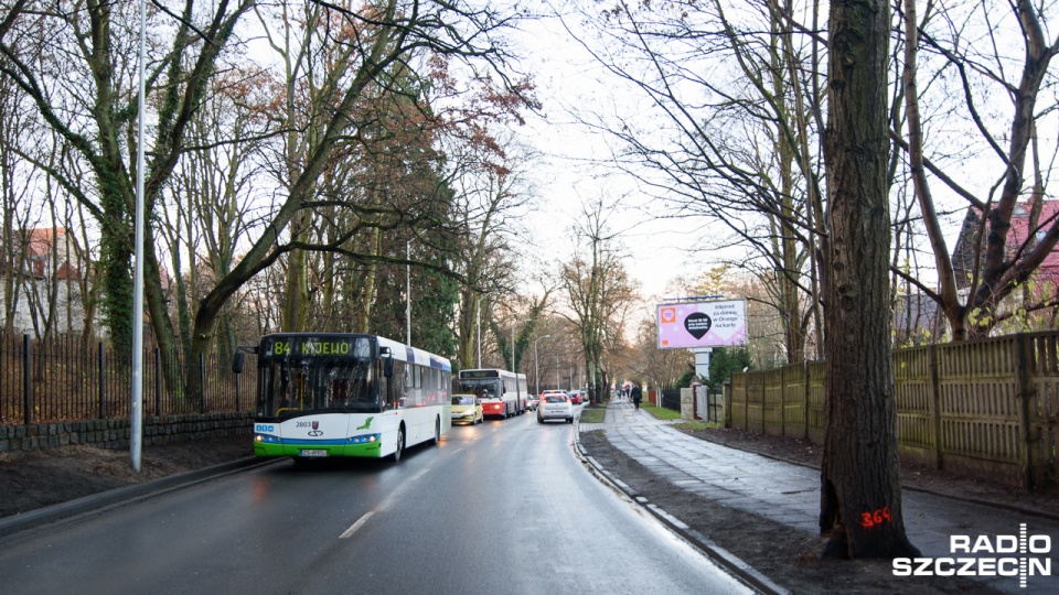 Ulica Walecznych w Zdrojach zablokowana przez leżące drzewo. Fot. Konrad Nowak [Radio Szczecin]