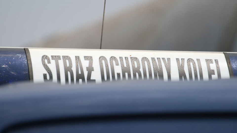 W sumie pilnować go będzie 1400 funkcjonariuszy Straży Ochrony Kolei i ponad 100 policjantów. Patrole pojawią się również w ponad 500 pociągach. Fot. www.wikipedia.org / włodi