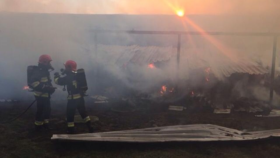 Trzynaście zastępów strażaków walczyło z pożarem dwóch stodół w miejscowości Lubogoszcz w powiecie szczecineckim. Fot. Straż Pożarna