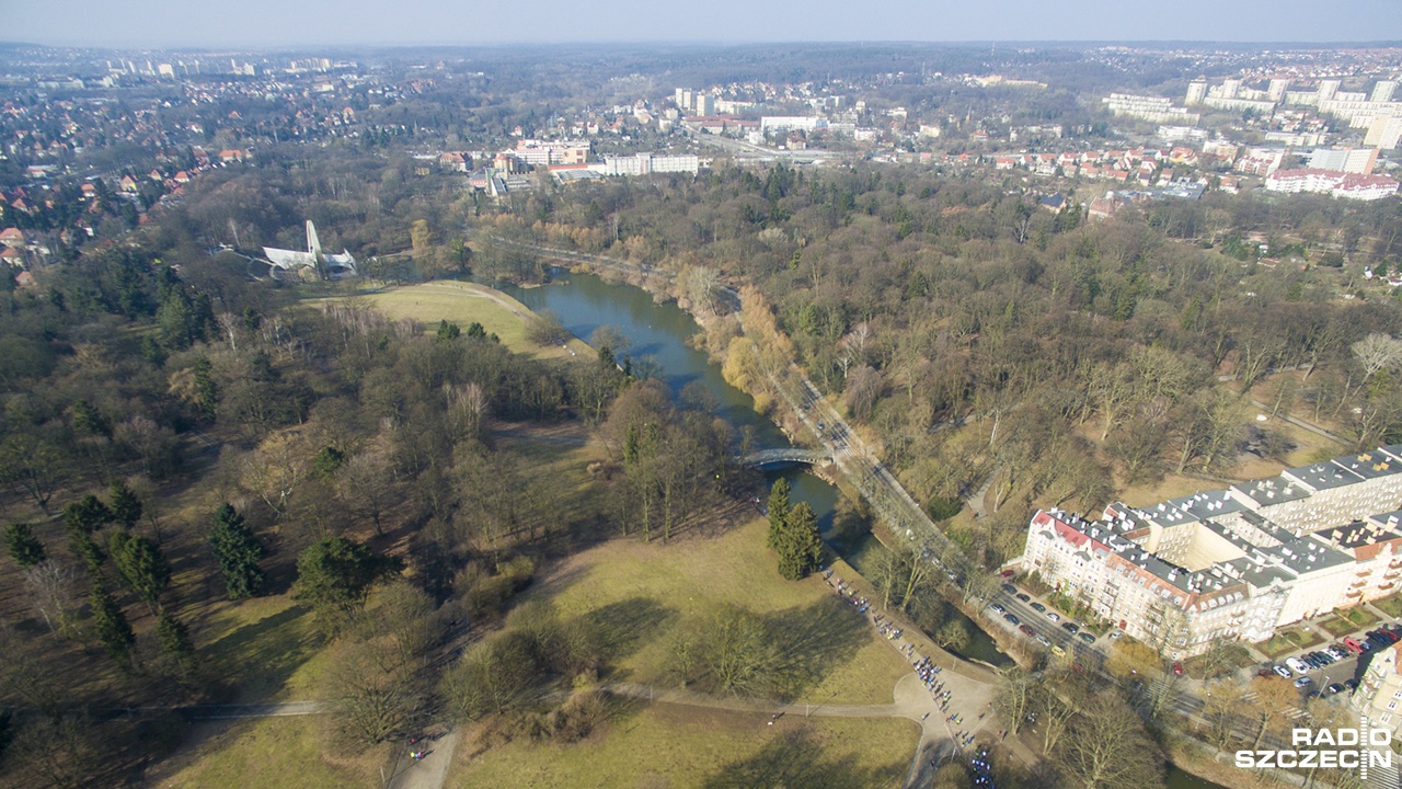 Kalina kanadyjska, wierzba płacząca czy cypryśnik błotny. Te i wiele innych gatunków drzew można spotkać w szczecińskim parku Kasprowicza.