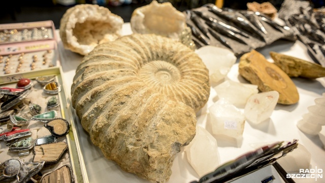 Minerały, biżuteria i kamienie szlachetne - m.in. takie ozdoby znajdują się na giełdzie, która od soboty odbywa się w hali Azoty Arena w Szczecinie. Ametysty, agaty i nie tylko w szczecińskiej Arenie [ZDJĘCIA]