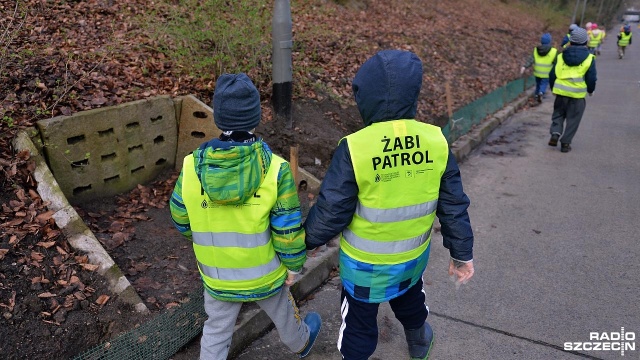 Dziecięcy "Żabi patrol" przy Jeziorze Szmaragdowym. Fot. Łukasz Szełemej [Radio Szczecin] Szczecińscy uczniowie ratują ropuchy [WIDEO, ZDJĘCIA]