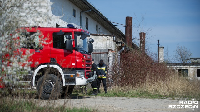 Beczki z nieznaną substancją znalezione pod Stargardem. Fot. Konrad Nowak [Radio Szczecin] Beczki z nieznaną substancją znalezione pod Stargardem [WIDEO, ZDJĘCIA]