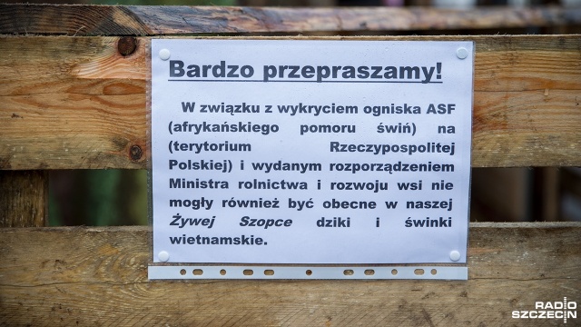 Żywa szopka w parafii w Żydowcach. Fot. Olaf Nowicki [Radio Szczecin] Alpaka w szopce w Żydowcach [ZDJĘCIA]