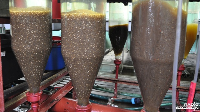 Ponad 25 milionów sztuk narybku, między innymi troci, łososi i miętusów ma szansę w tym roku trafić między innymi do Odry, Iny czy Regi. Stanie się to szybciej niż normalnie, a wszystko za sprawą wyjątkowo ciepłej zimy.