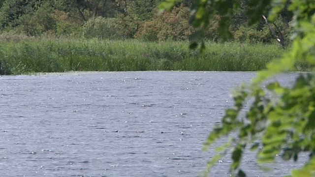 Coraz lepsze warunki do żeglugi towarowej na Odrze. Regionalny Zarząd Gospodarki Wodnej w Szczecinie w porozumieniu ze swoim odpowiednikiem w niemieckim Eberswalde otworzył szlak żeglugowy na odcinku od Nysy Łużyckiej do ujścia Warty.