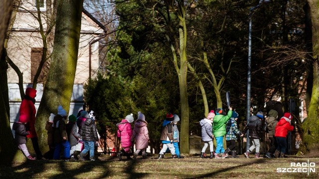 Czat dla rodziców 6-latków. Masz pytania Wyślij je urzędnikom