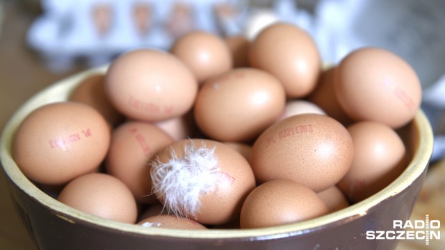 Czy możliwa jest Wielkanoc bez jajka Co z dietą
