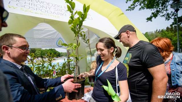 Kolejka po magnolie na szczecińskiej Arkonce [ZDJĘCIA]