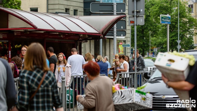 Lewkonie i orchideę to w kwiaciarniach hity tegorocznego Dnia Matki.