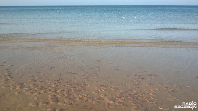 Zakaz kąpieli w Ustroniu Morskim