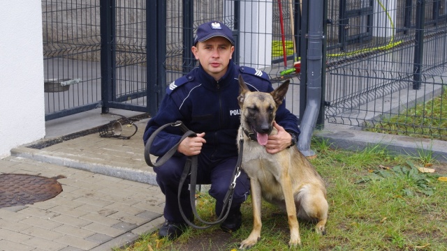 Gaja będzie strzec bezpieczeństwa w Gryfinie i okolicy. Nie chodzi jednak o grecką boginię ziemi a o nowego psa tamtejszej policji - półtoraroczną sukę rasy owczarek belgijski.